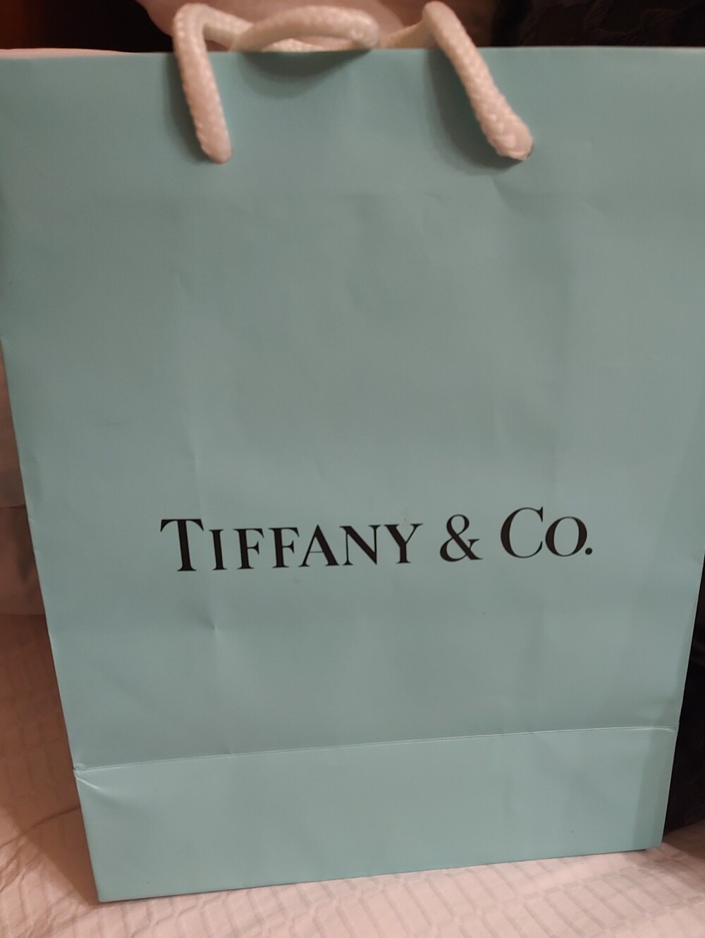 Original Tiffany & Co. Gift Bag